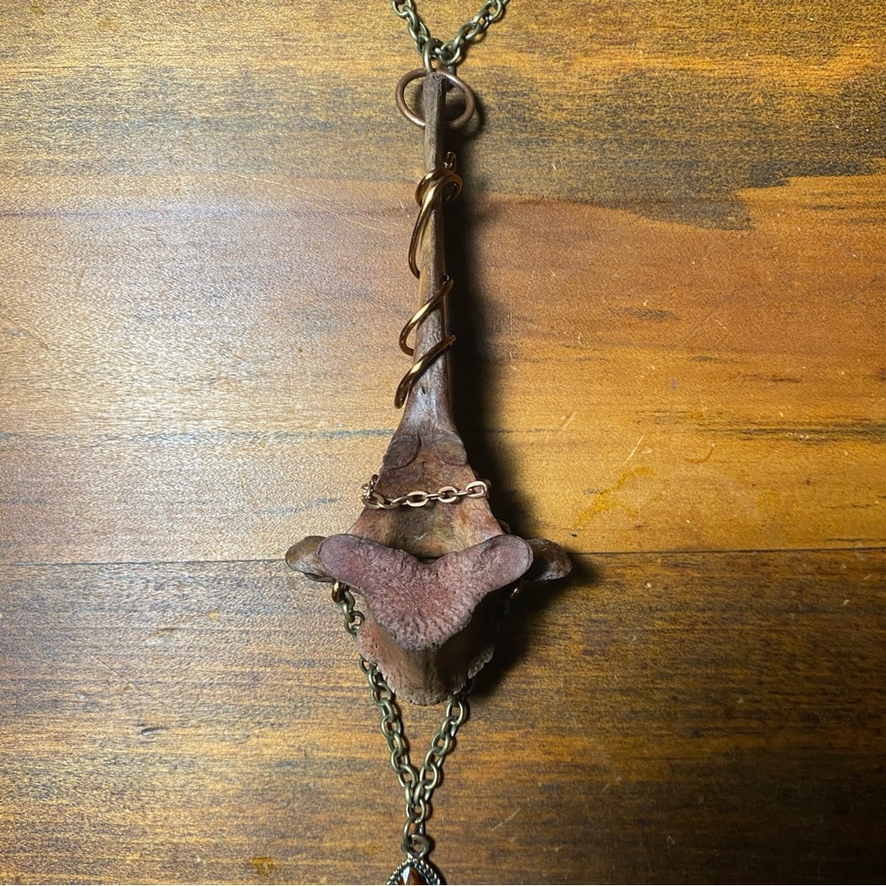 Dyed Deer Vertebrae Bone Copper Wire Brass Chain Necklace - Picture 5 of 12